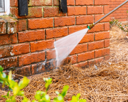 MOLD REMOVAL