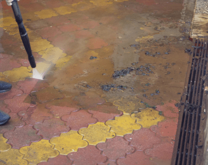 ALGAE REMOVAL